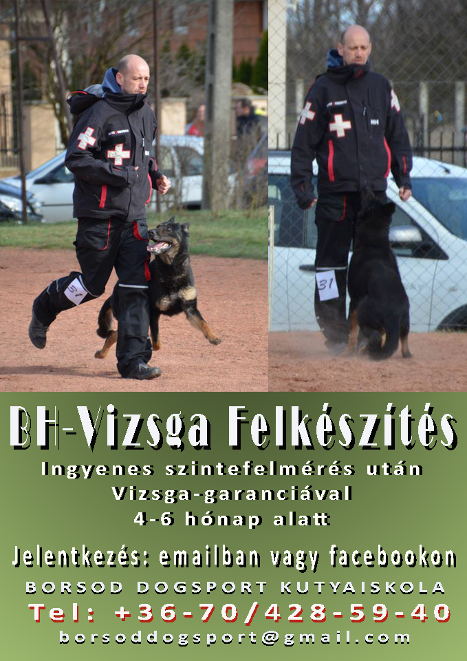 BH-Vizsga Felkészítés