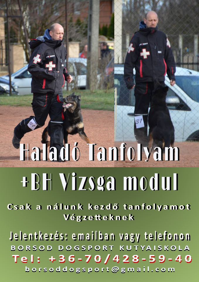 halado tanfolyam