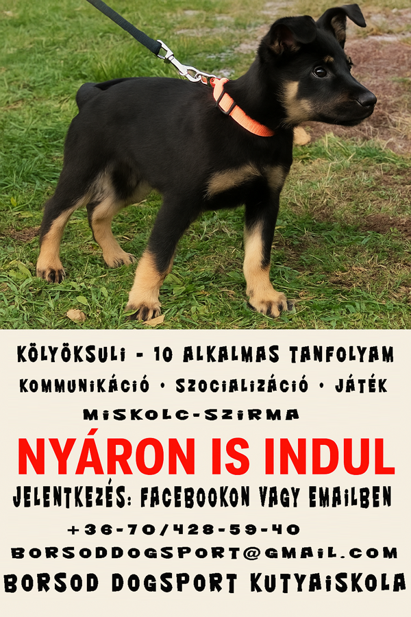 kutyaovi