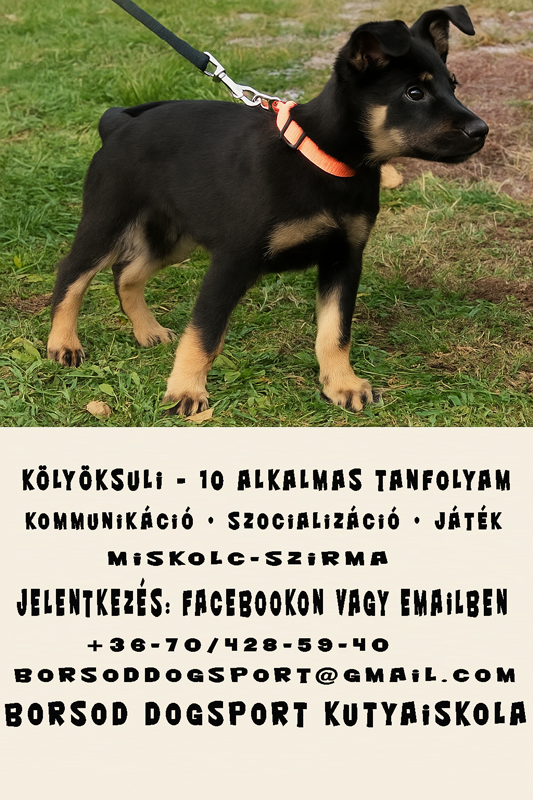 kutyaovi