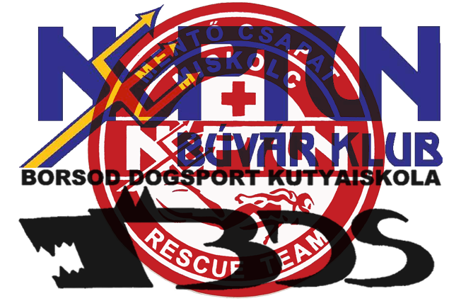 Neptun Mentőcsoport mentocsop